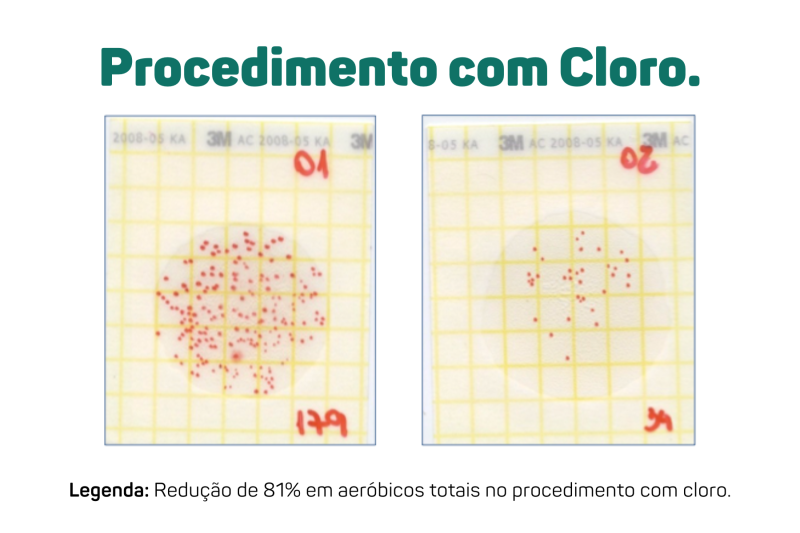 comprovacao de eficacia placa petri com cloro