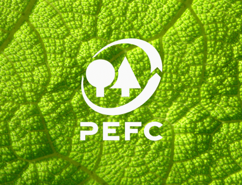 Quais os Benefícios do Selo de Sustentabilidade PEFC?